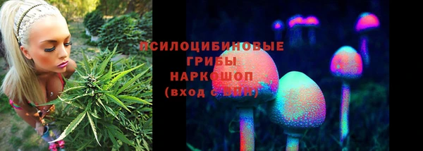 экстази Елизово