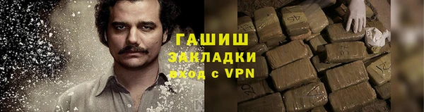 ГАЛЛЮЦИНОГЕННЫЕ ГРИБЫ Ельня
