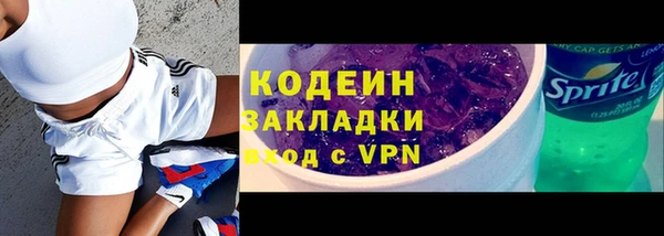 ГАЛЛЮЦИНОГЕННЫЕ ГРИБЫ Ельня