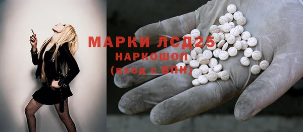 ГАЛЛЮЦИНОГЕННЫЕ ГРИБЫ Ельня