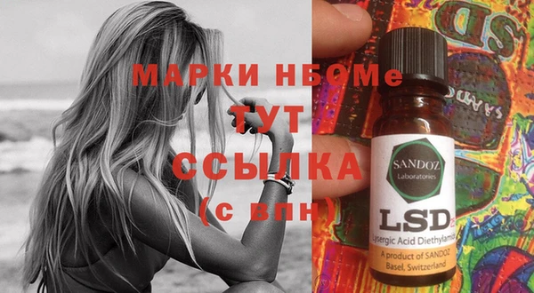 ГАЛЛЮЦИНОГЕННЫЕ ГРИБЫ Ельня