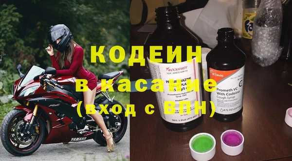 ГАЛЛЮЦИНОГЕННЫЕ ГРИБЫ Ельня