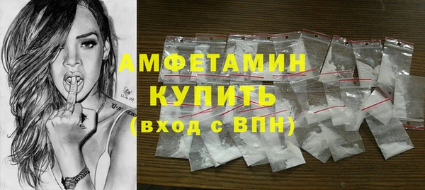 ГАЛЛЮЦИНОГЕННЫЕ ГРИБЫ Ельня