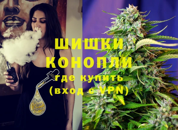 ГАЛЛЮЦИНОГЕННЫЕ ГРИБЫ Ельня