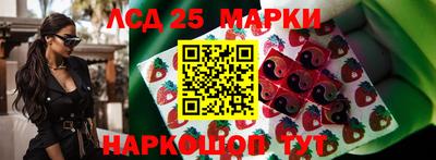 спиды Кимры