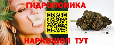 спиды Кимры