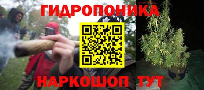 спиды Кимры