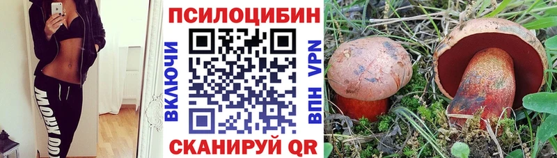 магазин продажи наркотиков  Канск  Псилоцибиновые грибы ЛСД 