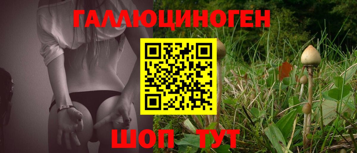 Галлюциногенные грибы Psilocybine cubensis Канск